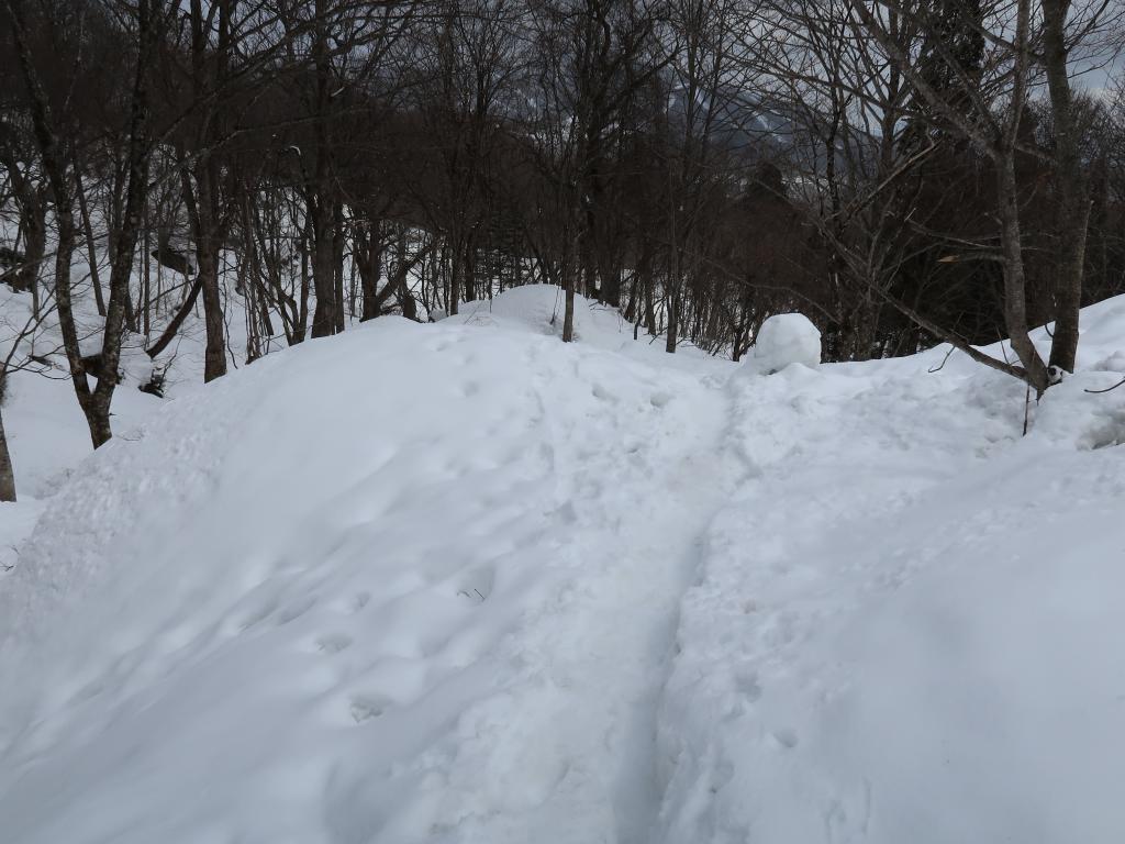 九頭龍社周辺の積雪